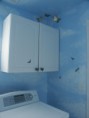 /album/butterfly-laundry-room/pict5201-jpg/