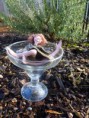 /album/polymer-clay/p1020264-jpg/