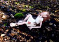 /album/polymer-clay/p1020271-jpg/