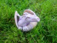 /album/pottery/dragon1c-jpg/