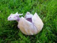 /album/pottery/dragon1d-jpg/